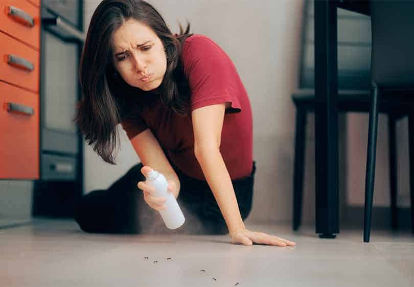 picture of lady with dark hair spraying ants on her floor