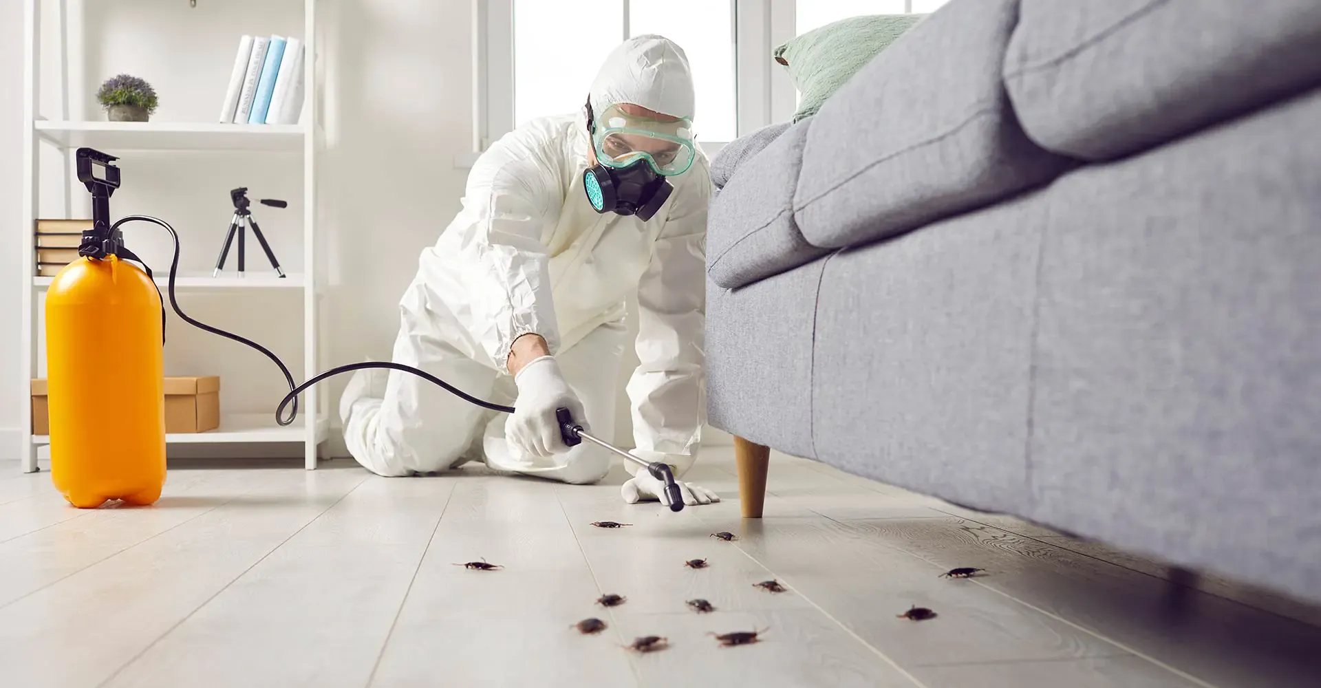 guardian pest control